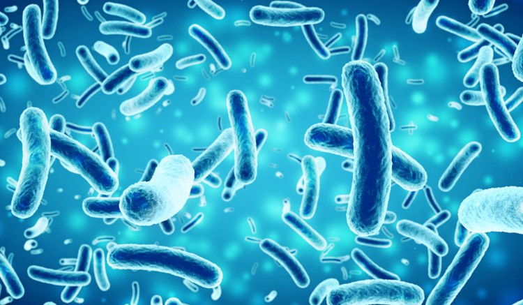 Exposing the Antimicrobial Bacteria Facts – Does It Really Work?